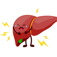 Liver Diseases